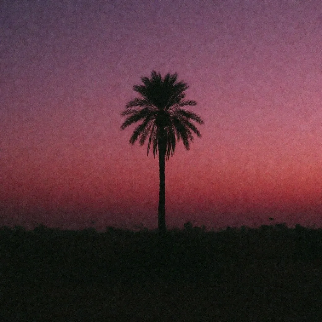 Palm silhouette against a fuchsia desert dusk sky