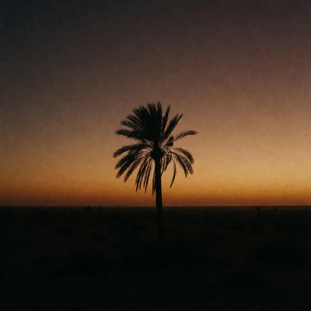 Palm silhouette at dusk over the desert horizon